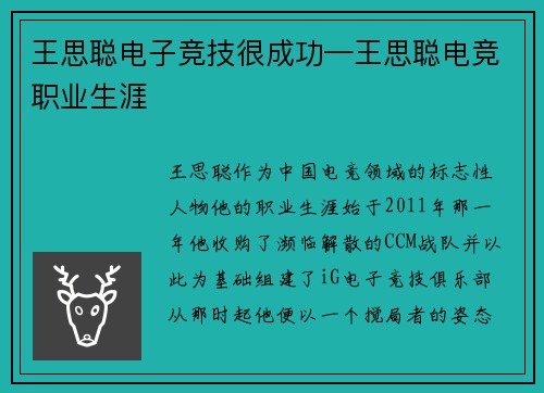 王思聪电子竞技很成功—王思聪电竞职业生涯